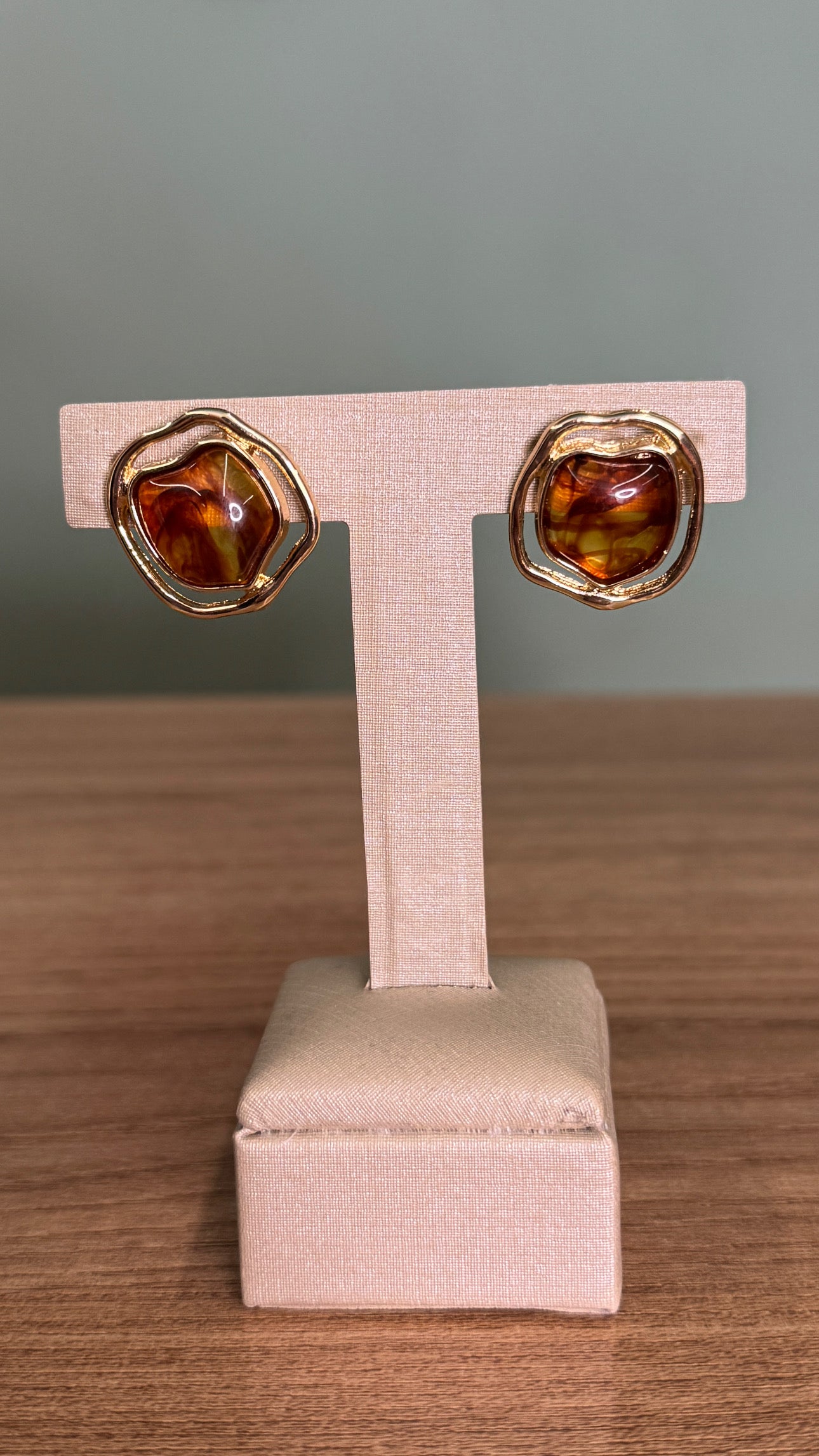 CONJUNTO CHOKER ARO E BRINCO ORGÂNICO RESINADO